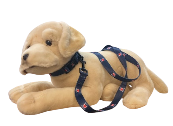 Dog Lead