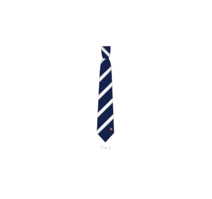 Tie - Senior School Ties