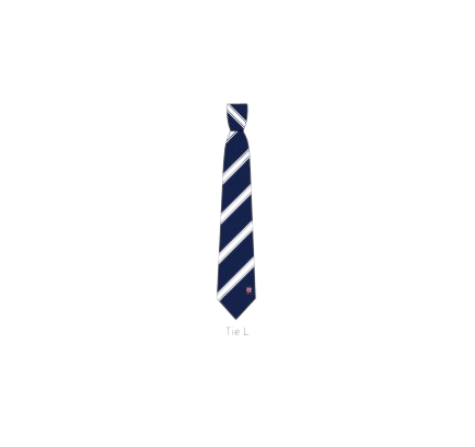 Tie - Senior School Ties