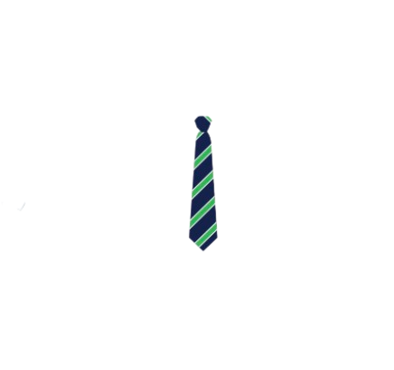 Tie - Senior School Ties