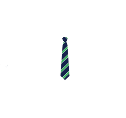 Tie - Senior School Ties